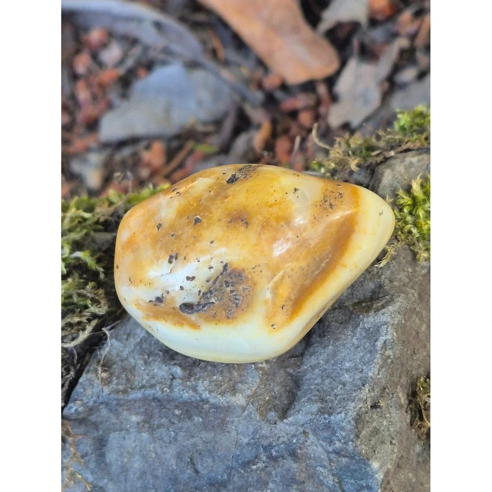 Handcrafted Rustic Olive Wood Oval Bowl w/ PNW Carnelian Agates & Yellow Jasper